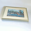 Beautifully Framed Painting of Two Kingfisher Birds Signed by the Wildlife Artist, Mark Chester