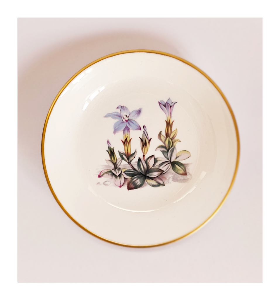 Rare Vintage Royal Worcester Blue Gentian Flower Fine Bone China Pin Dish