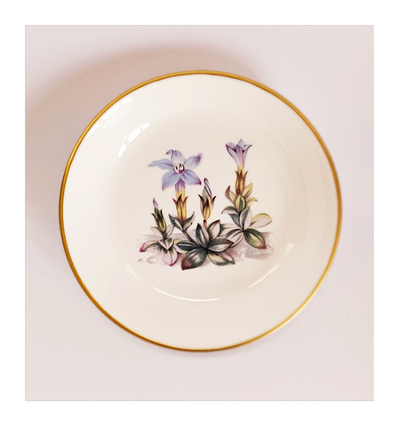 Rare Vintage Royal Worcester Blue Gentian Flower Fine Bone China Pin Dish