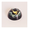 Vintage Genuine Paua Shell Paperweight Embossed with a Golden Kangaroo Made by Ariki New Zealand