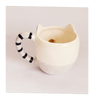 Hand Painted Price & Kensington Ceramic Racoon Woodland Novelty Mug