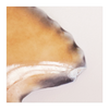 Vintage 1960's Wade Ceramic Fish Shaped Pin Dish