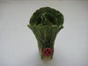 Green Cabbage Teapot