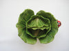 Green Cabbage Teapot