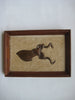 Vintage Kudu (a species of Antelope) sculpture in copperware mounted on genuine Antelope skin in a wooden frame
