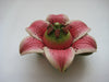 Lily Teapot