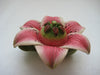 Lily Teapot