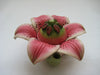 Lily Teapot