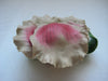 Rose Petals Teapot