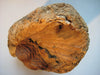 A bust (sculpture) of a woman carved out of a log