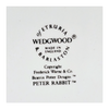 Vintage 1970's Wedgwood of Etruria & Barlaston, Frederick Warne & Co., Beatrix Potter Peter Rabbit Shallow Bowl / Baby Dish