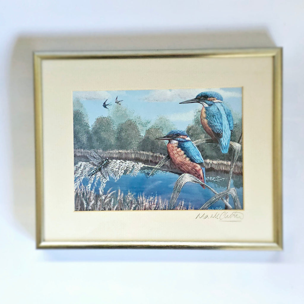 Beautifully Framed Painting of Two Kingfisher Birds Signed by the Wildlife Artist, Mark Chester