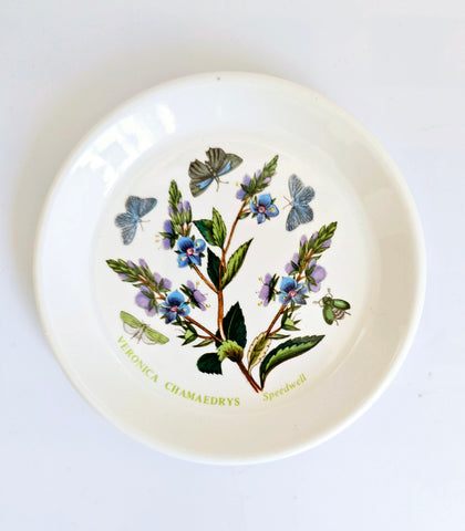 Vintage 1980's Portmeirion Ceramic Sweet Dish Designed by Susan Williams-Ellis from the Botanical Garden Series