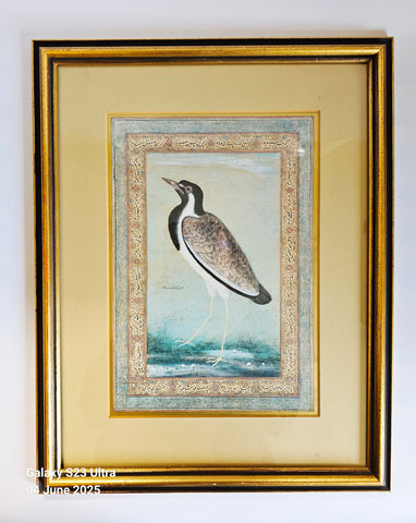 Vintage Lithograph Print of a Lapwing by Ustad Mansur Jahangirshahi, c. 1610 Artist (Copy)