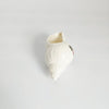 Vintage 1920s Arcosy China Crested Ware "Sea Shell" Miniature (Westcliff-on-Sea Crest)