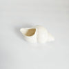 Vintage 1920s Arcosy China Crested Ware "Sea Shell" Miniature (Westcliff-on-Sea Crest)