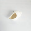 Vintage 1920s Arcosy China Crested Ware "Sea Shell" Miniature (Westcliff-on-Sea Crest)