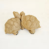 Vintage 2008 Fountasia Sculptures Faux-Granite Tortoise Figurine – "Small Pair Couple Tortoise" (Model 90501)