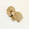 Vintage 2008 Fountasia Sculptures Faux-Granite Tortoise Figurine – "Small Pair Couple Tortoise" (Model 90501)