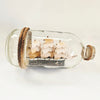 Vintage Three-Masted Ship in a Glass Bottle – Mid-to-Late 20th Century Nautical Folk Art