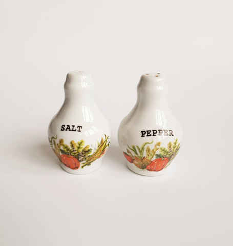 Vintage Porcelain Salt and Pepper Shaker Set