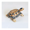 Vintage 1960's Beautifully Designed and Crafted Wade Porcelain Tortoise Shaped Figurine